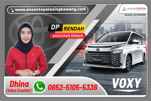 VOXY